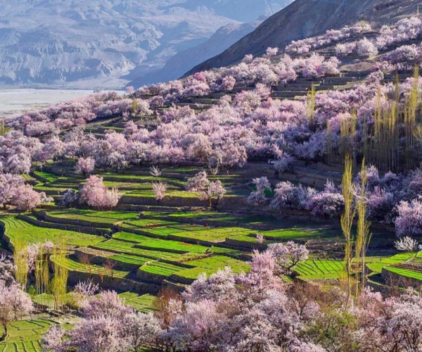Skardu Valley Explorer – 6 Day Indus & Deosai Trail
